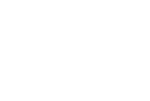 company-adidas-white