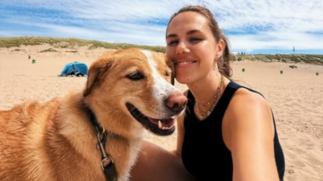 beitrabsbild_samsung_pia